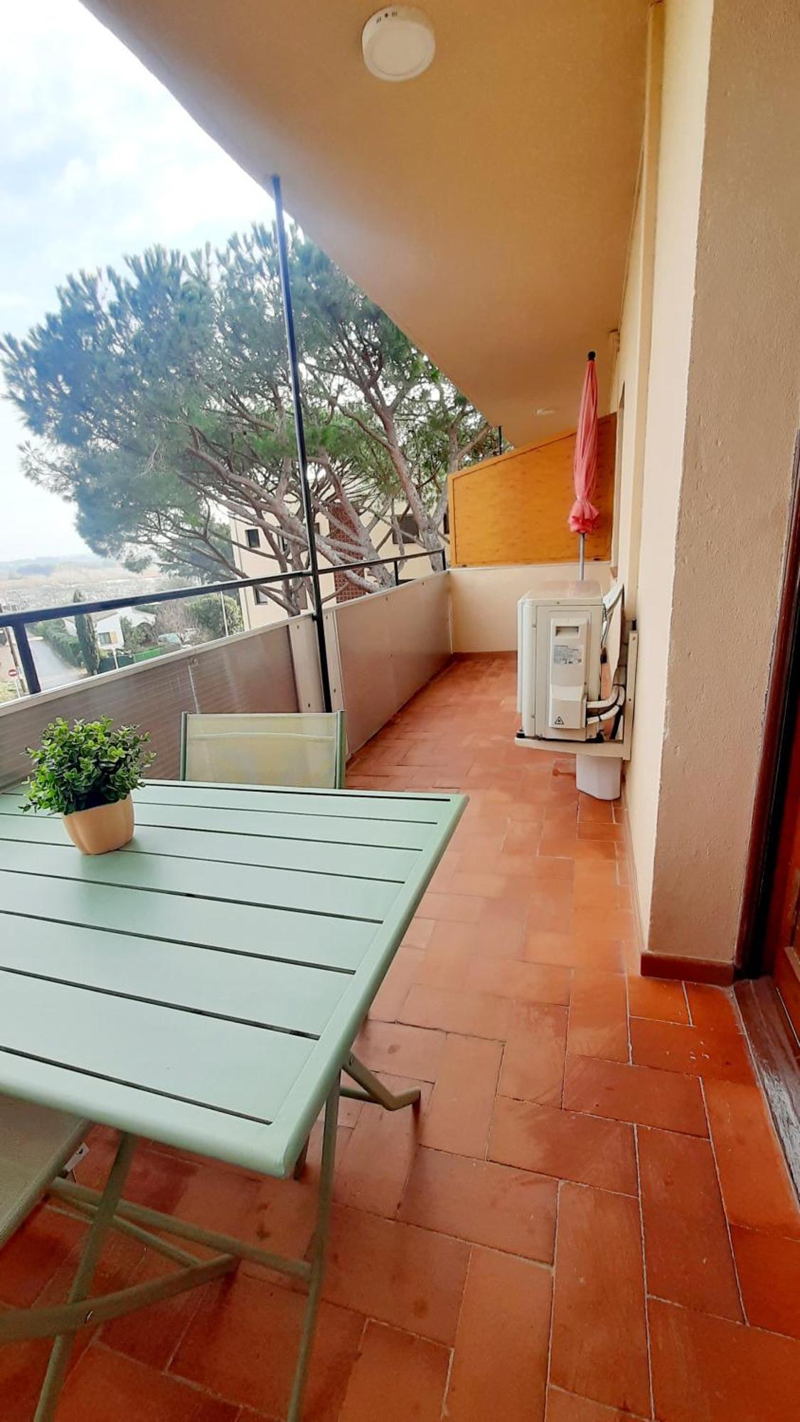 Anchoveta Calonge (Catalonia)